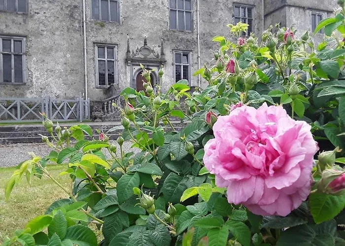Oak Lodge Portumna