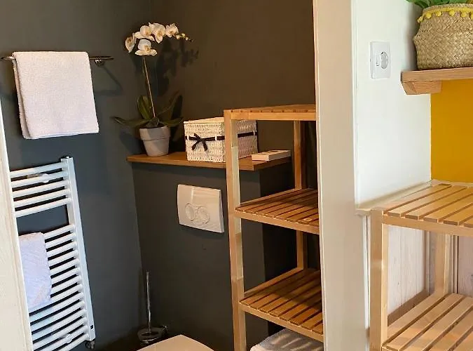 Appartement Bos En Duin Vogelenzang