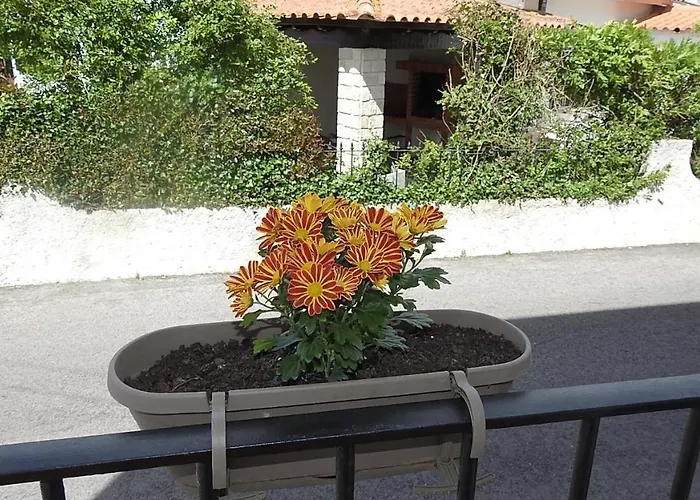 Hospedaria Do Senhor Da Pedra Obidos