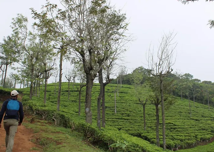 Hidden Heaven Hotel Coonoor