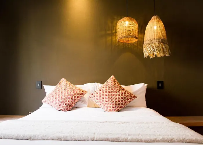 Olive Grove Guesthouse Windhoek