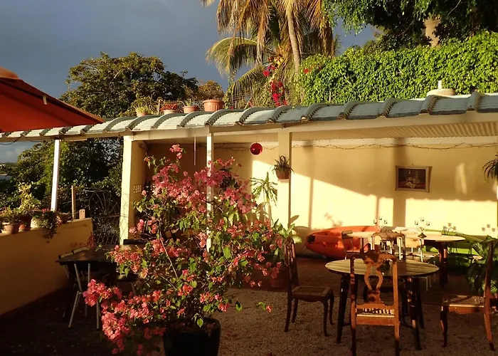 Le Cactus Guesthouse Terre Rouge 