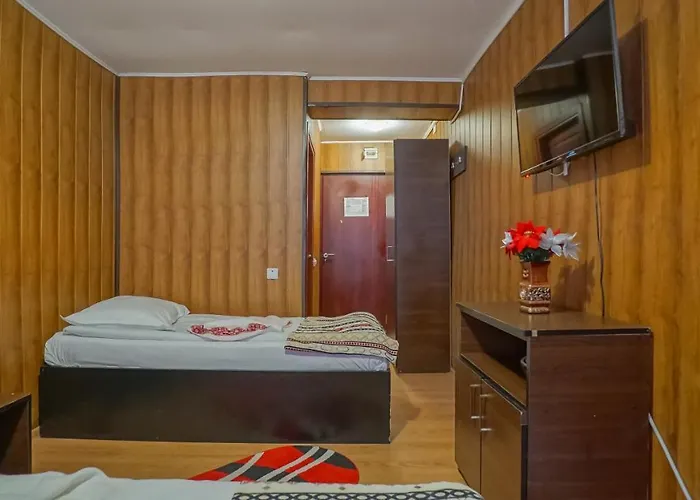 Vila Muntii Bucegi & Spa Bran 
