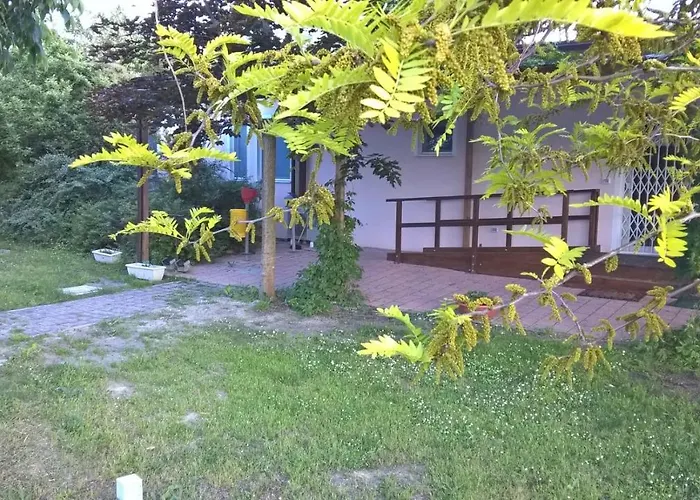 Rose Canine B&B Cesenatico