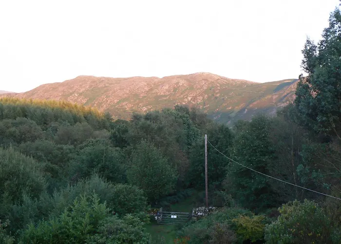 Forest How Guest House Eskdale