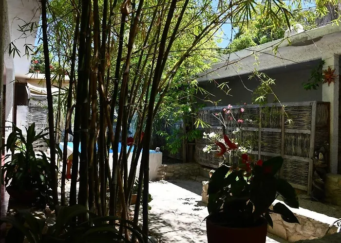 La Playita Hostal San Jose del Cabo
