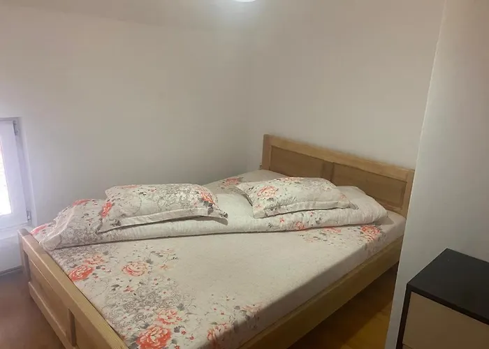 Lupul Dacic Hotel Ranca