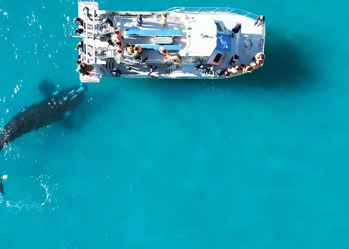 White Shark Guest House Gansbaai