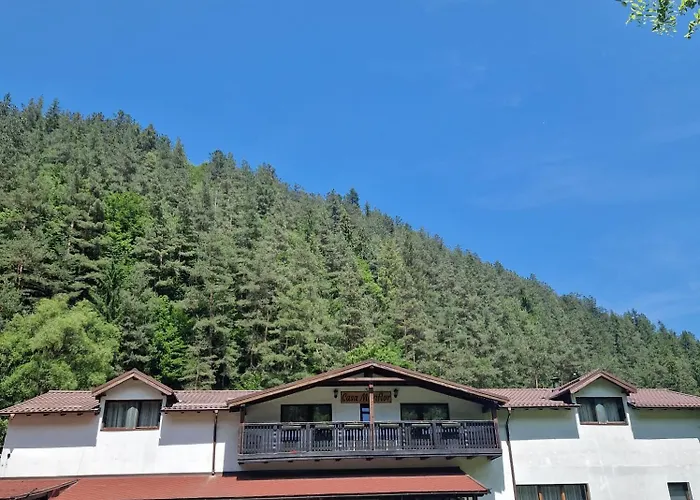 Casa Mariflor Hotel Vama Buzaului