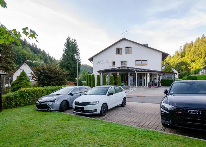 Hotel Am Kurpark Todtmoos
