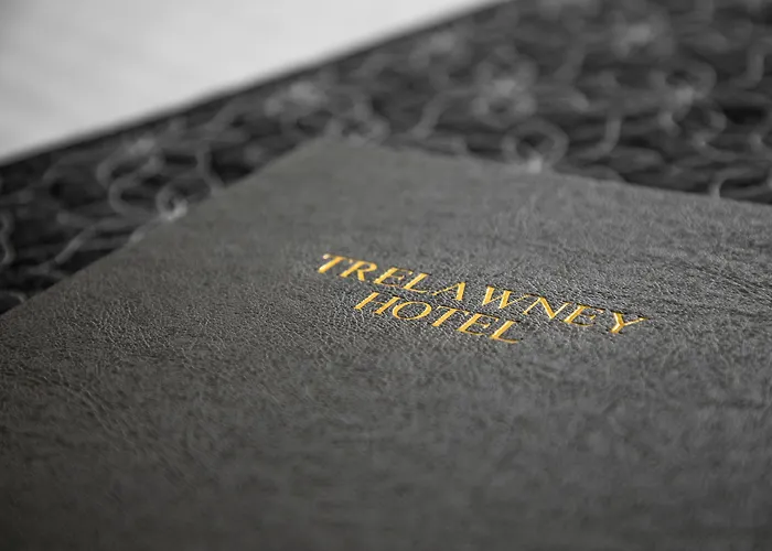 Trelawney Hotel - Guest House Torquay