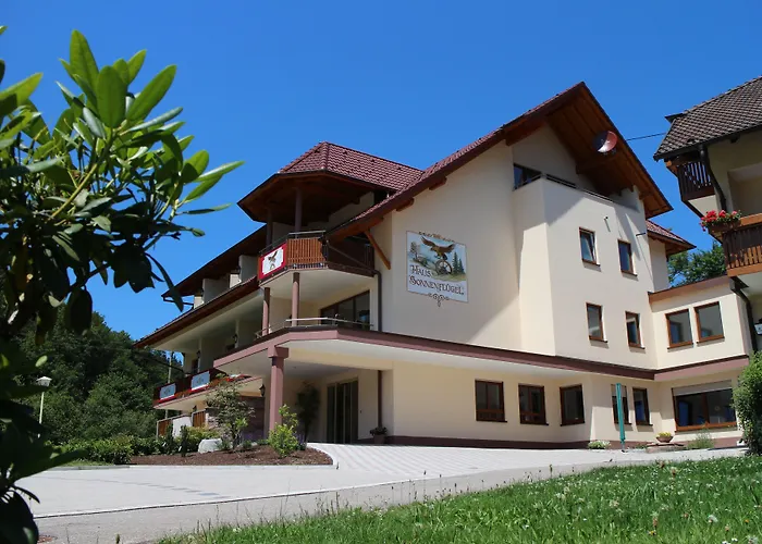 Landgasthof Adler Pelzmuehle Biederbach