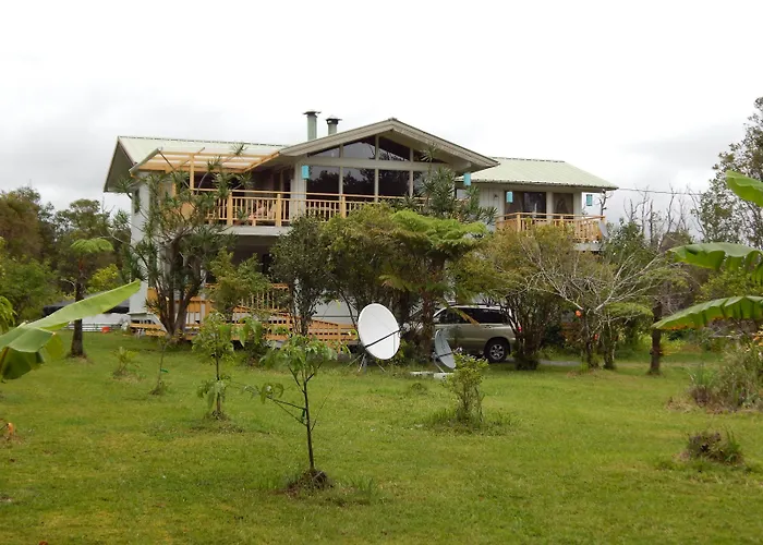 Fern Forest Getaway