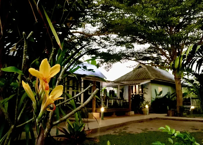 Canary Guesthouse Pai