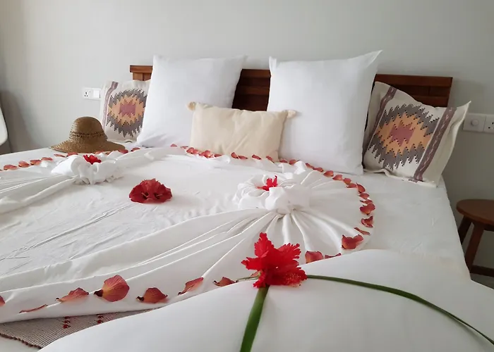 Coco Villa Thoddoo