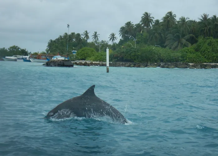 Ocean Beach Inn - Maldives Hangnaameedhoo
