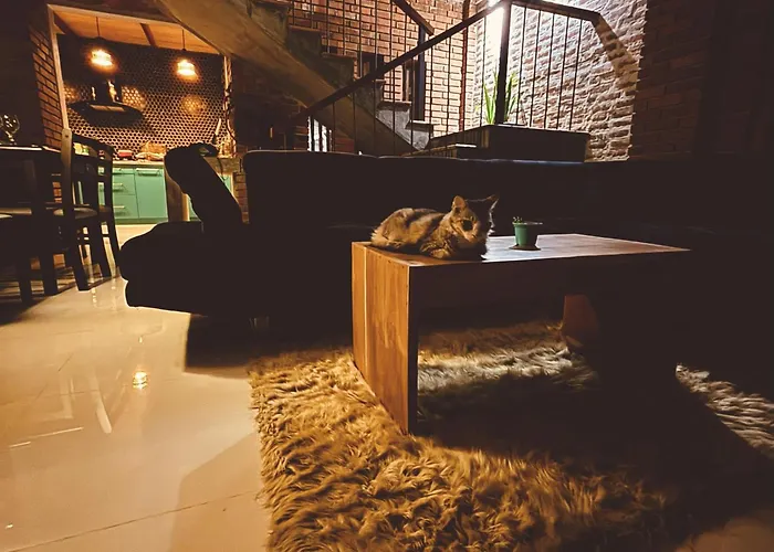 Kay'S Den Kandy Peradeniya