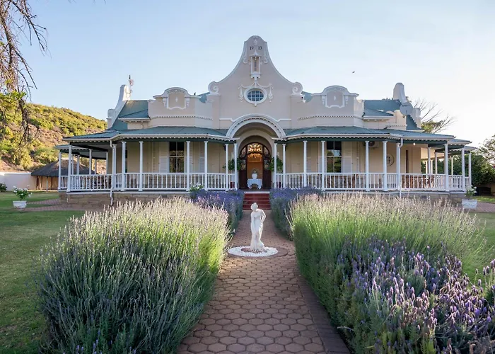 Bakenskraal Ostrich Palace Oudtshoorn