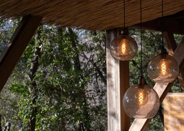 Orion Treehouses Saint-Paul-de-Vence