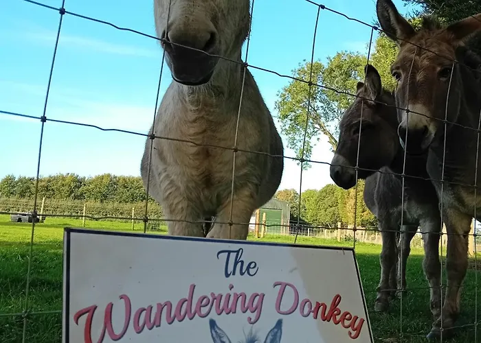The Wandering Donkey Guest House Carlow