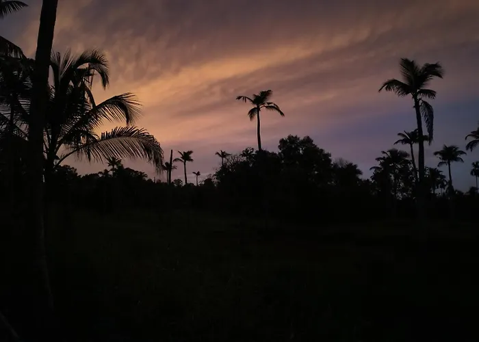 Biki'S Palm Villa Kaduturutti