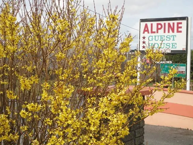 Alpine Guesthouse Dingle