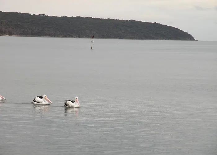 The Anchorage Cottage Kangaroo Island American River