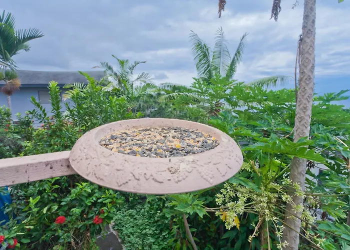 Kona Hawaii Guest House A Unique Hawaii Experience Keauhou