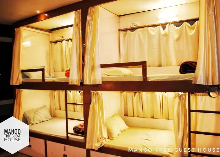 Mango Tree Guest House Rishikesh