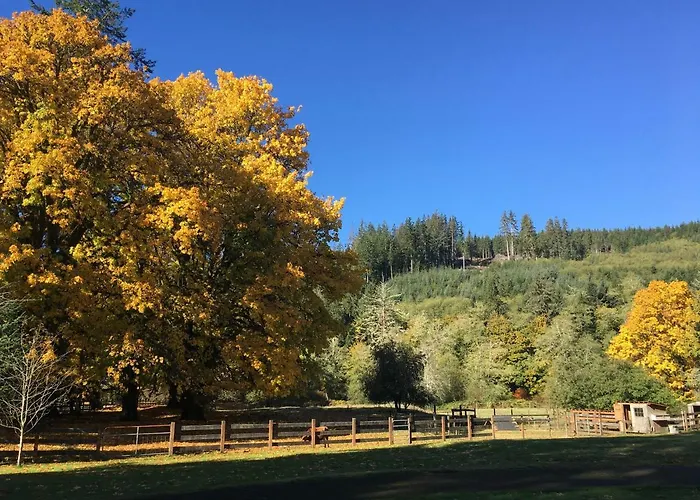 The Cabins At Beaver Creek