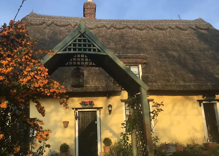Ivy Todd Cottage Debden