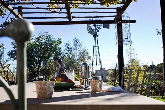 Olive Grove House Hotel Prince Albert