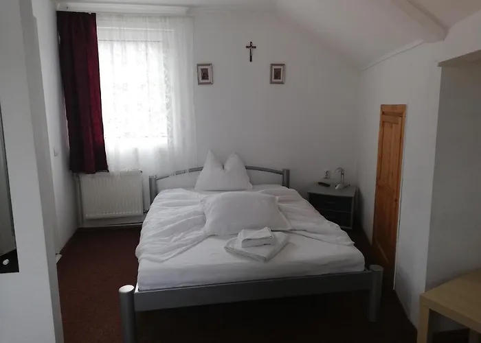 Casa Doina Hotel Sinaia